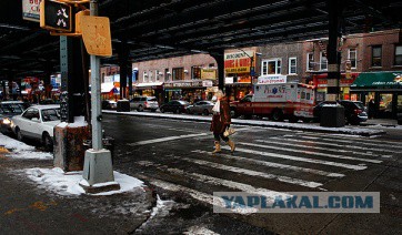 Америка за 2 недели  глазами туриста