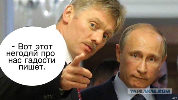 Прямая линия с Путиным