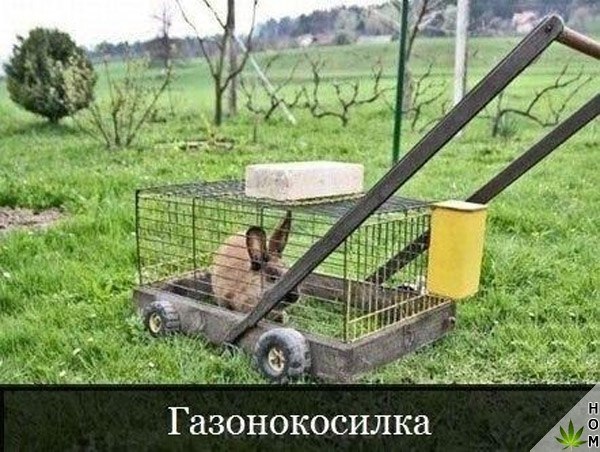 Нестандартный юмор