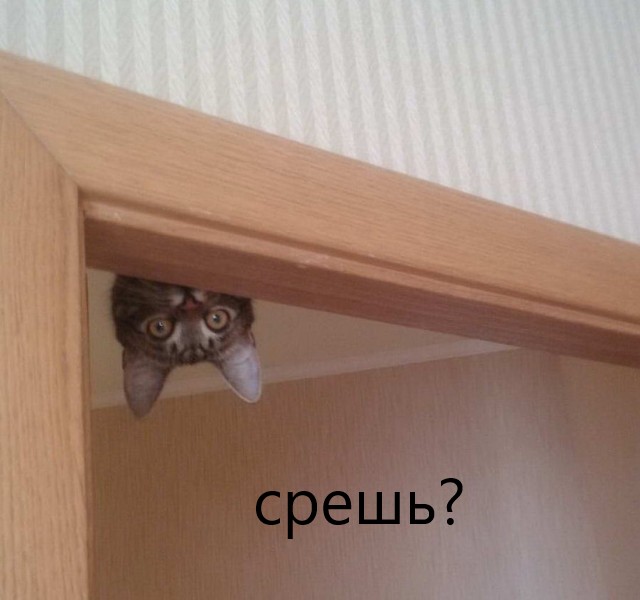 Калейдоскоп Картинок