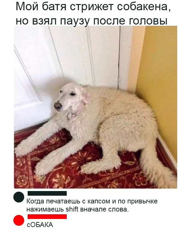 Когда-то повеселило