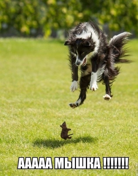 Чуток картинок 11.03.20