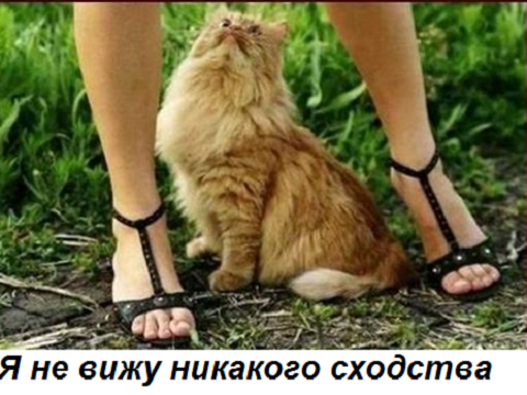 Очень пошлые картинки про это.18+