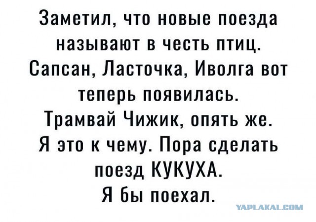 Бредзона 19.09.20
