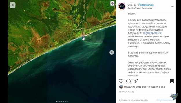 Побережье Камчатки превратилось в кладбище морских обитателей