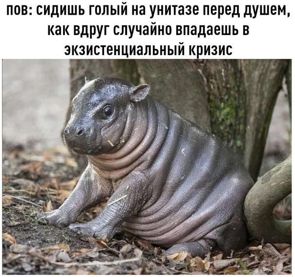 Картинки с надписями и всякие жизненные фразы 5.06.21