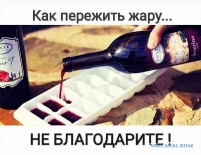 Картинки и мемы для настроения 006