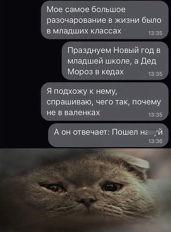 Весёлый полтишок 31.12
