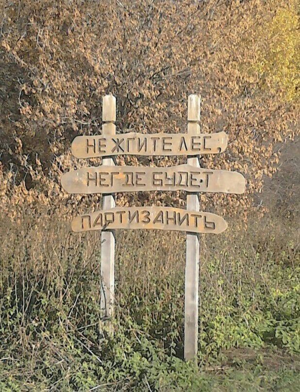 Народная меДИЧина 9017