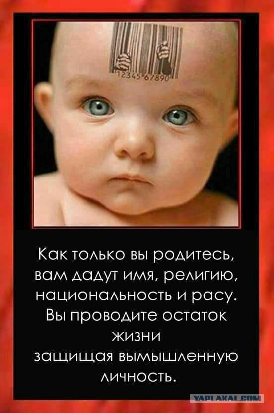 Всех под колпак!