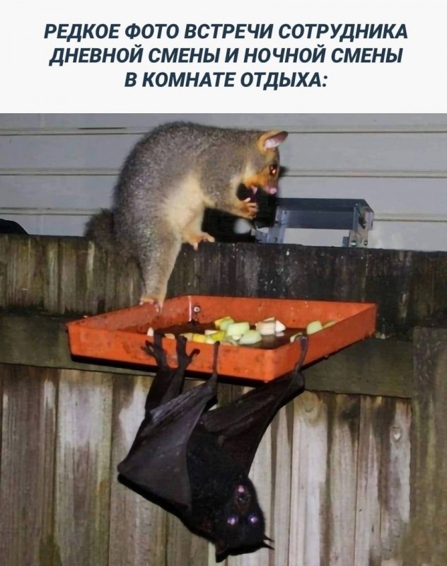 Держимся мужики!