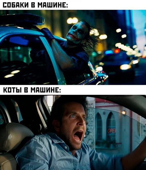 Народная меДИЧина 5011