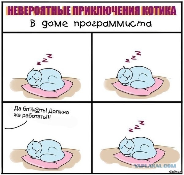 Позы для сна у кошек - что они означают?