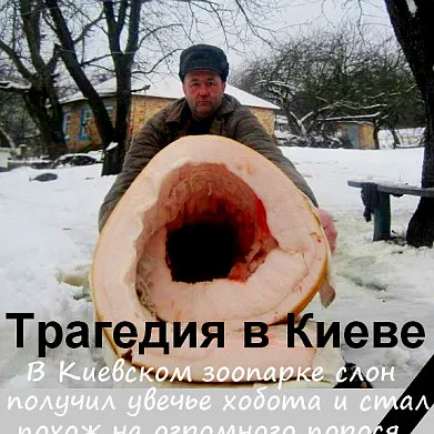 Тревожная масса: в РФ участилось использование запрещенной добавки в продуктах