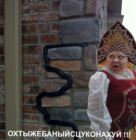 Вышел утром на крыльцо