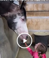 Она оглядывается вокруг: «Ладно, кто следующий?»