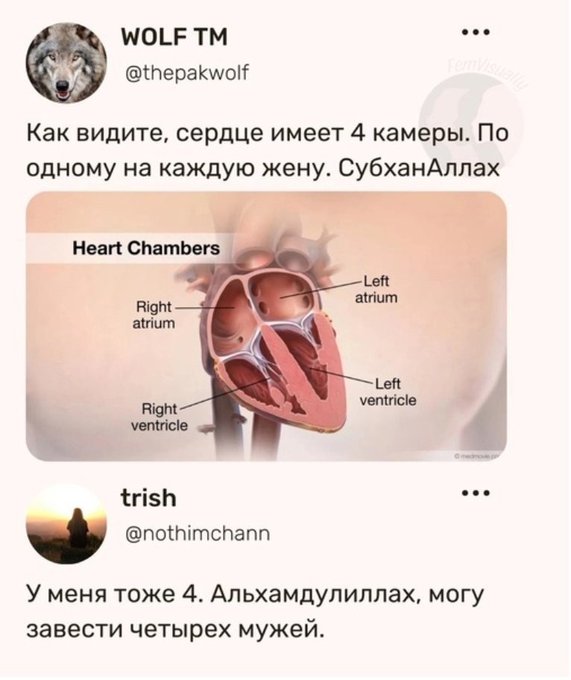 Веселое настроение в картинках (18.09.2025)