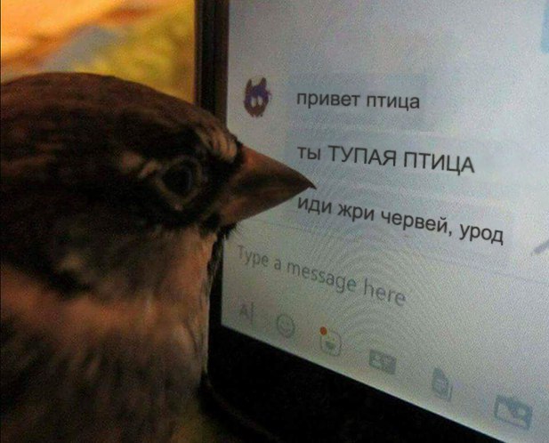Субботы картинки