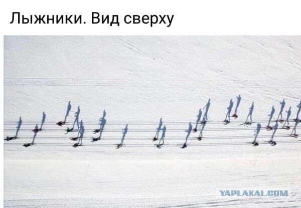 Веселое настроение в картинках (14.02.2025)