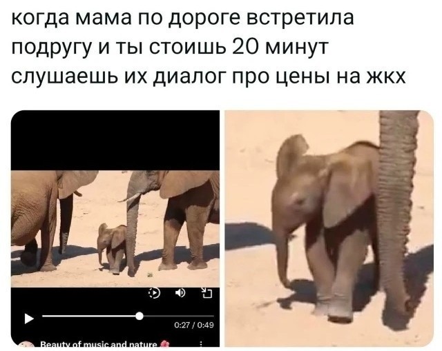 Картинки разные