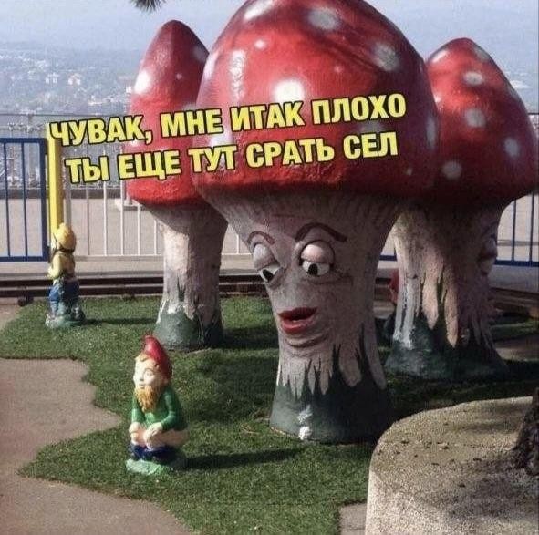 Картинки для деградации 188 (разной степени свежести)