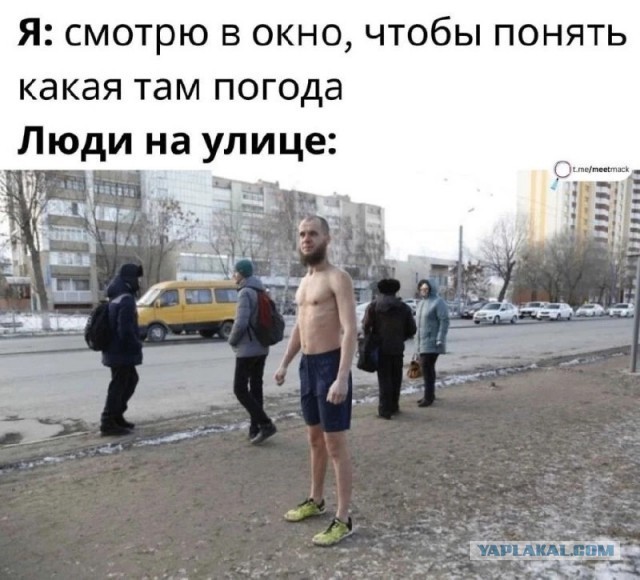 Так себе картинки 17.05.26