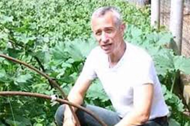 Гигантский кабачок весом 43 кг вырастила дачница из Ленобласти