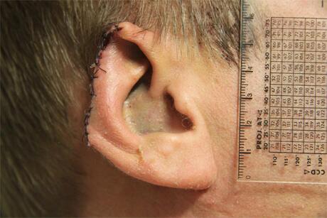 Похищения активистов Беркутом...