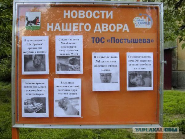 Немного смешных картинок из сети