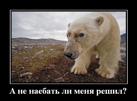 Захватывающая гонка подводных лодок!