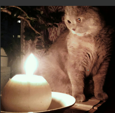 Котооо-о-о-вторник