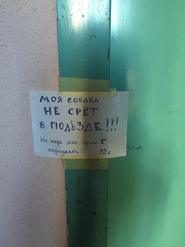 Ужасы и приколы из соцсетей 18+