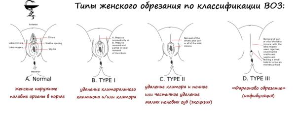 «Женщины России просят обрезать язык муфтию Северного Кавказа»