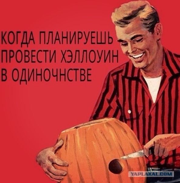 Порция картинок из сети