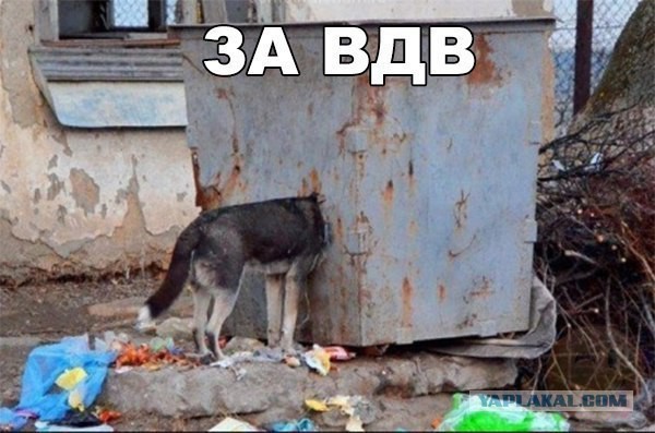 Юмор не для всех
