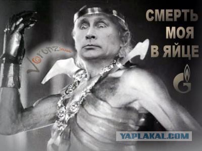 Путин пообещал подумать о выдвижении своей кандидатуры на выборах президента