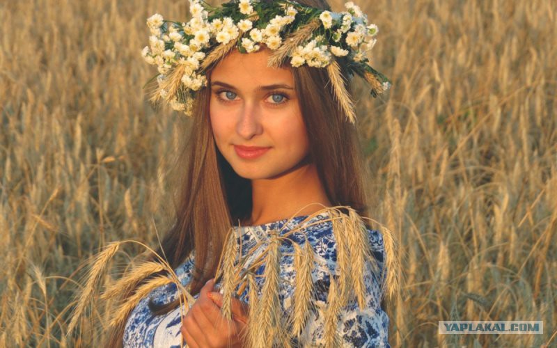 Русское фото официальный сайт Утверждена новая структура совета стариков Всероссийского казачьего общества Р