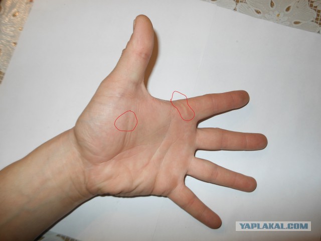Клиническая смерть и кто там был