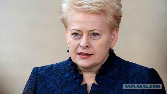 Президент Литвы пригрозила выслать сотрудников российской разведки