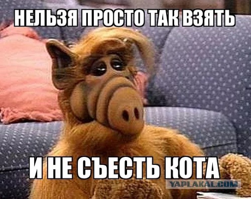Кто не рискует, тот не ест кроликов