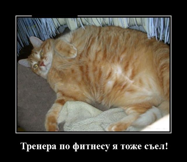 Очередная пенсионная реформа