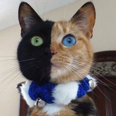 Немного милоты