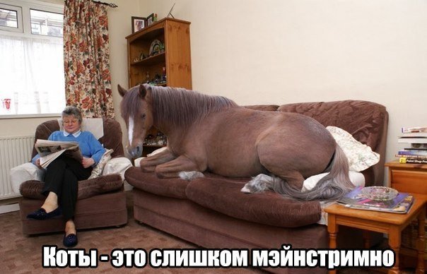 Подборка интересных и веселых картинок