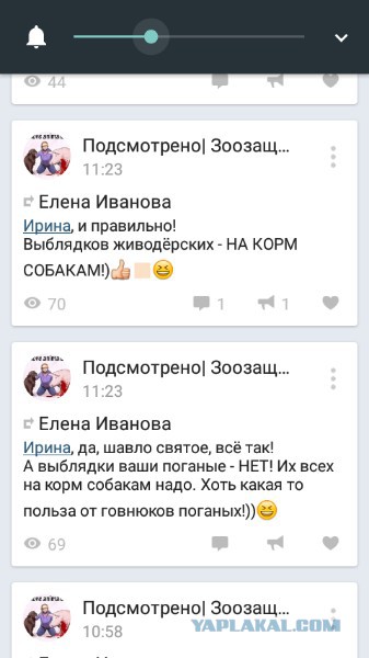 Во Владимире собаки насмерть загрызли молодого мужчину