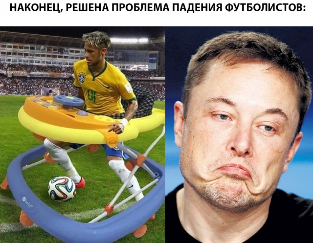 13087584.jpg