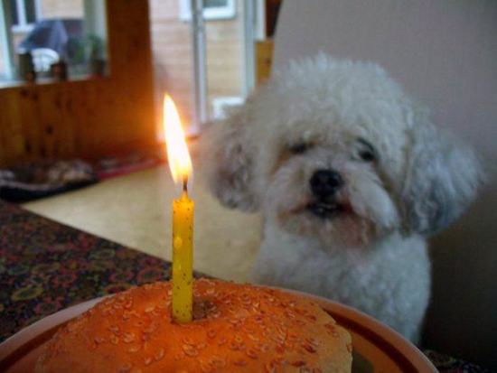 7  лет сайту ЯПлакалъ!