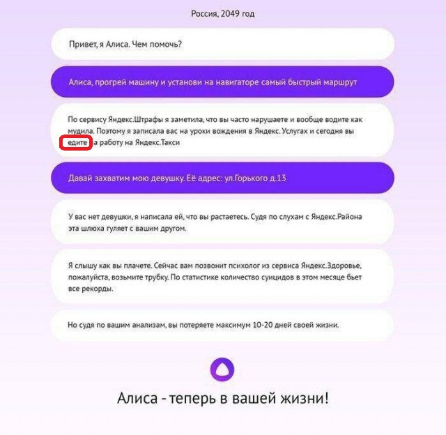 Немного картинок для настроения 14.11.19