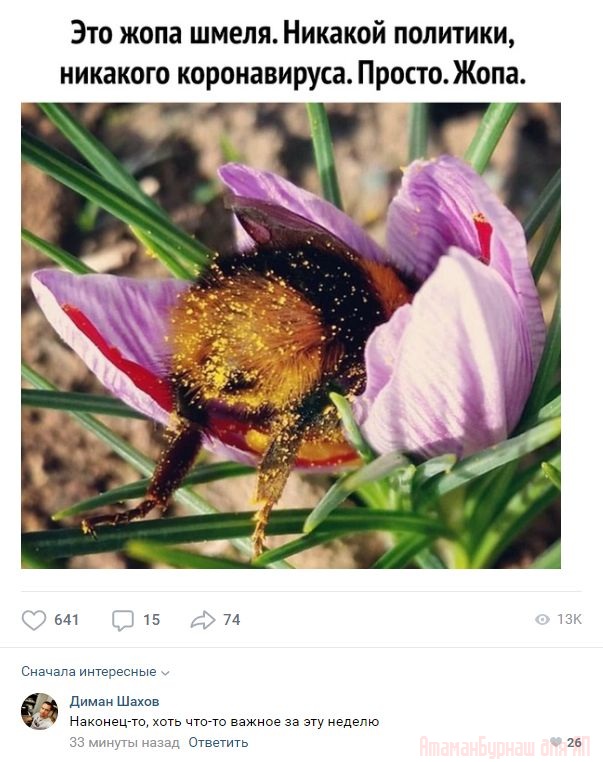 Еще 15 причин никогда не жениться
