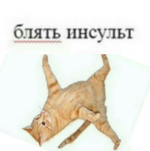 ЗОЖ курильщика