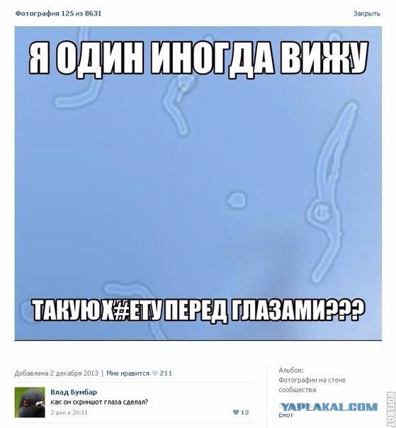 Картинки с надписями фразы  и анекдоты 16.11.20